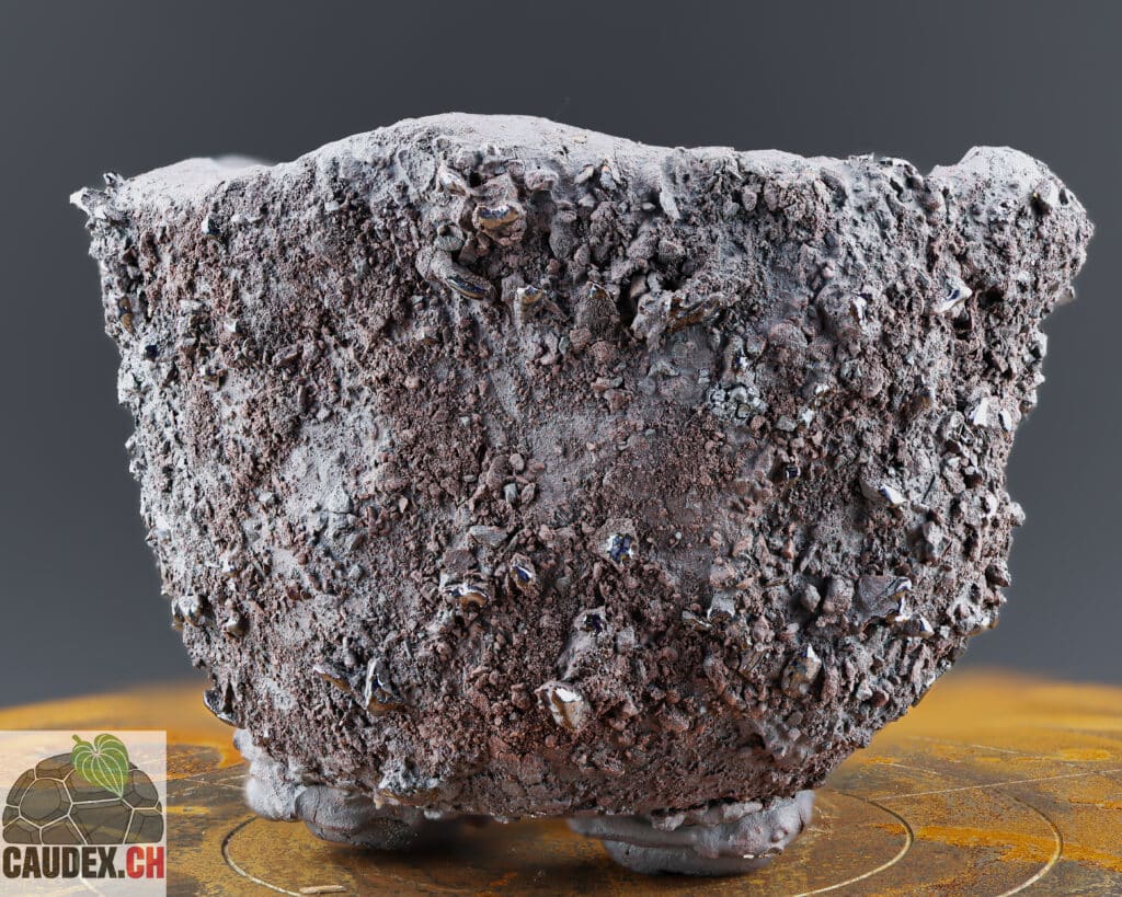 Pot en céramique avec une texture de terre brute pour rappeler le sol ou poussent les plantes à caudex, couleur rouge terne et noir, style wabi-sabi