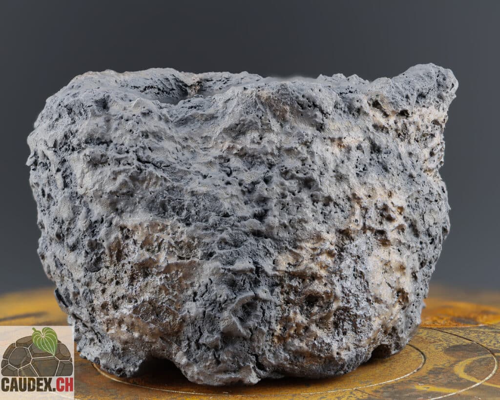 Pot en céramique très texturé pour la culture de caudex, style wabi-sabi