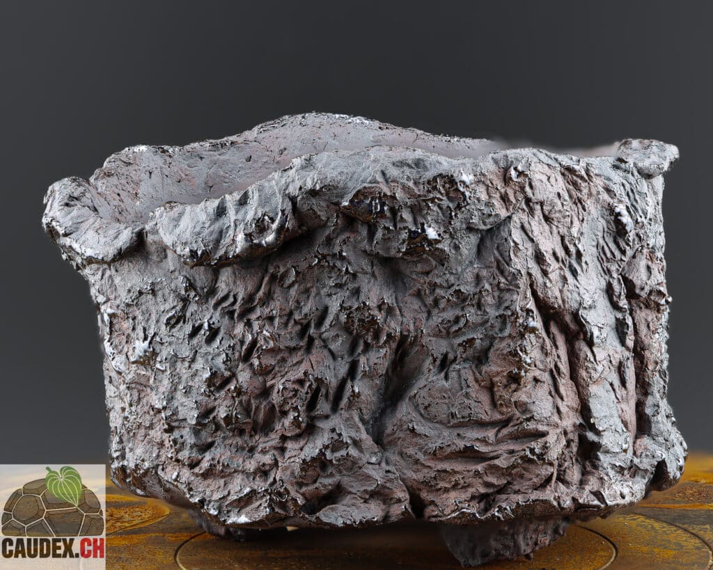 Stark texturierter, erhöhter Keramiktopf in den Farben Rot und Schwarz, dezent hervorgehoben durch bronzefarbene Akzente. Mit praktischem Abflussloch.