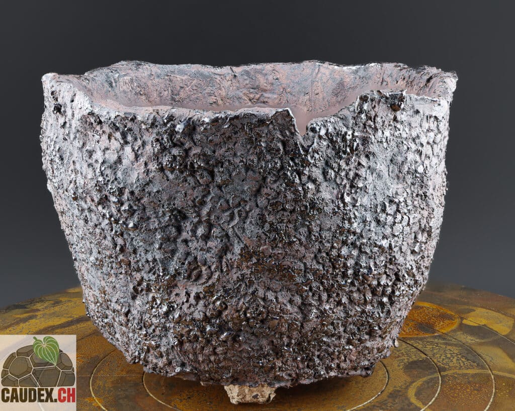 Pot en céramique pour cactus, texture faite avec du corail dans le style wabi-sabi, percé