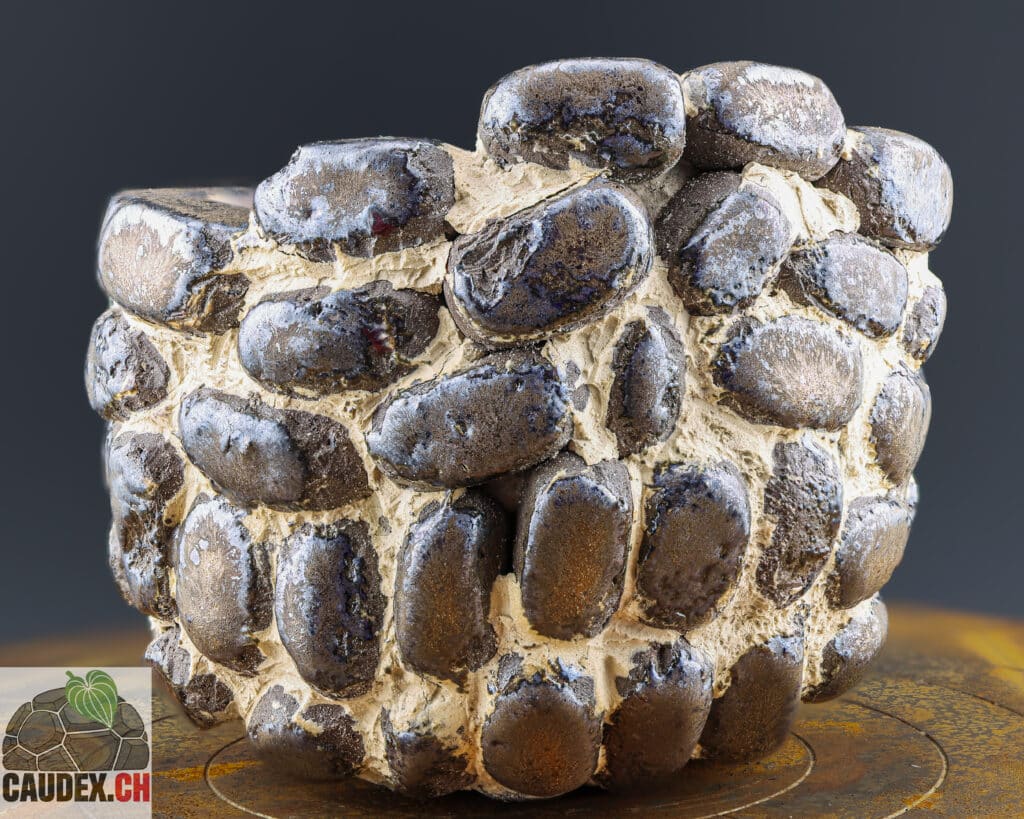 Pot en céramique, imitation de briques en bronze, inspiré du style japonais wabi-sabi, pour plante à caudex