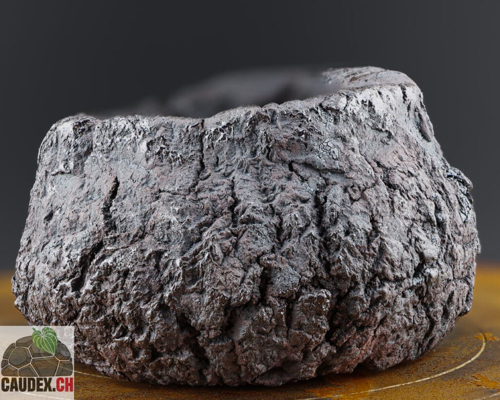 Pot en céramique pour plante à caudex, très texturé dans le style japonais wabi-sabi, couleur noir et rosé