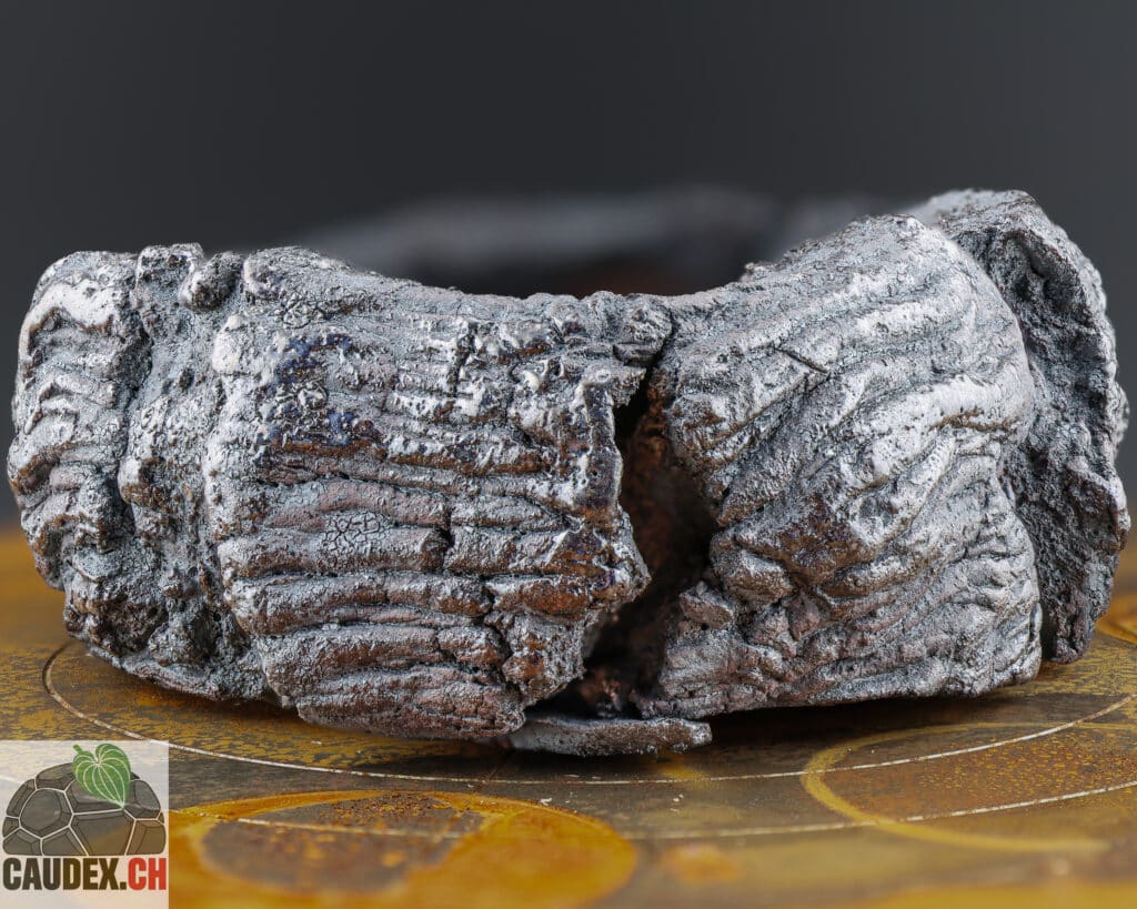 Pot peu profond en céramique, couleur noir, fissuré et texturé dans le style wabi-sabi, spécialement fait pour les plantes à caudex, les cactus et les succulentes